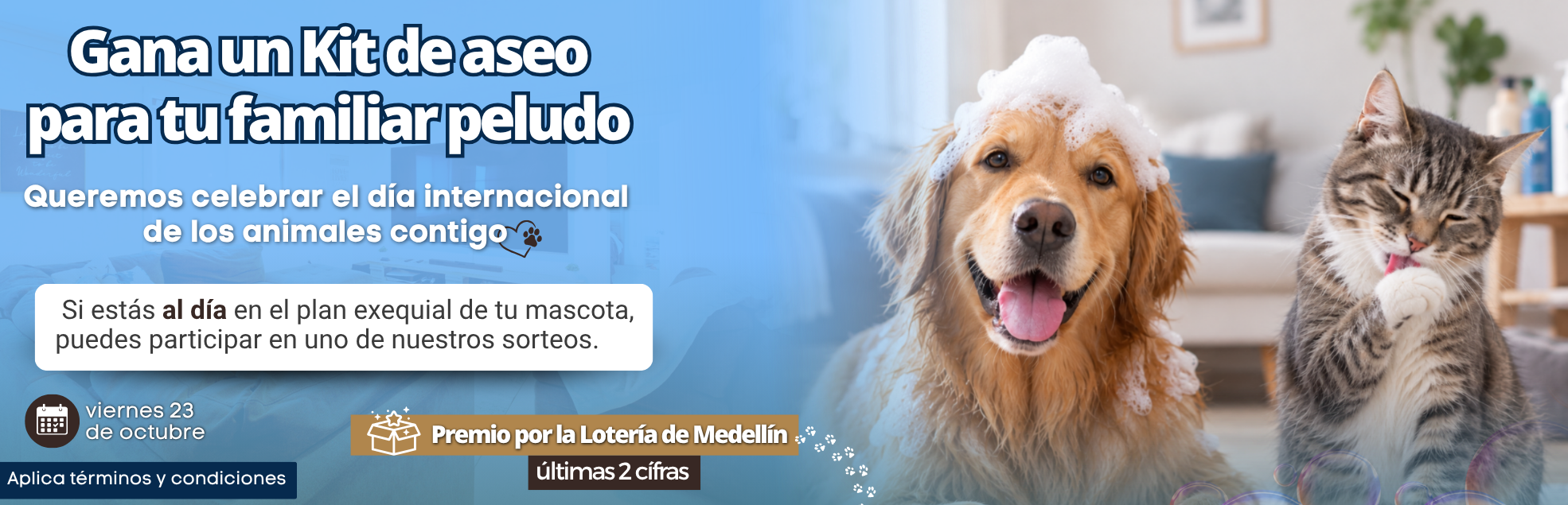 Copia de pagina web (1970 x 635 px) (14)